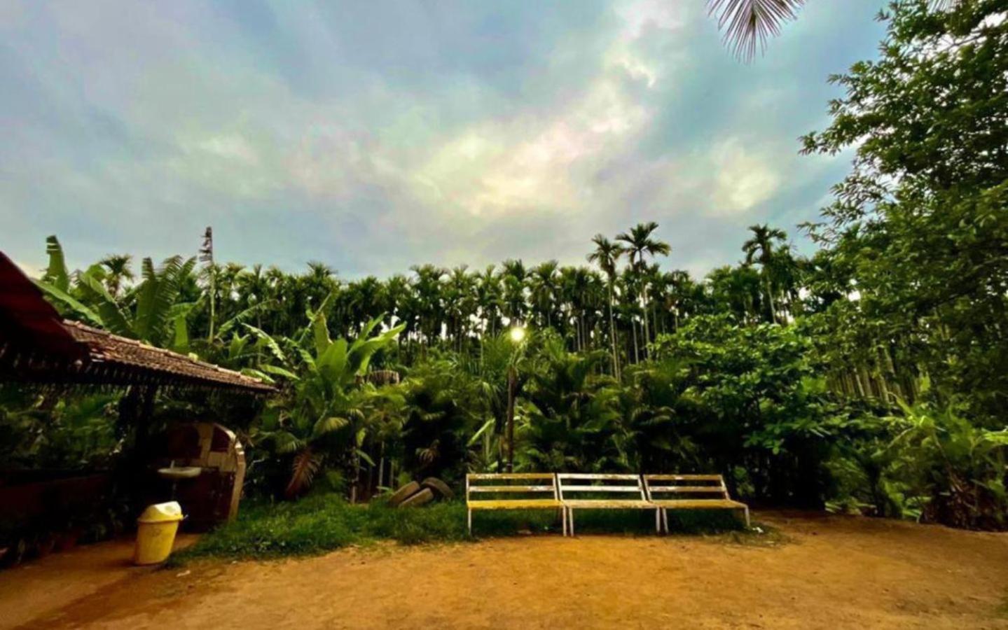 Pepper Paradise By Stayapart Dandeli Buitenkant foto